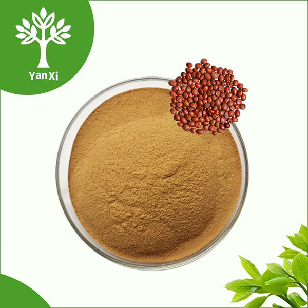 Jujube Seed Extract Powder Jujube Seed Extract Powder